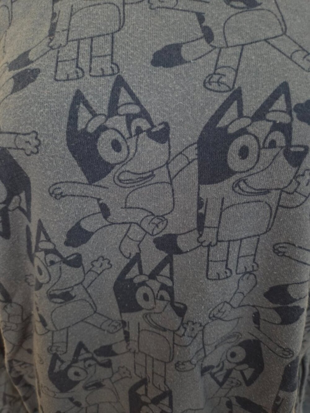 Bluey Pattern Sweatshirt - Picture 5 of 6